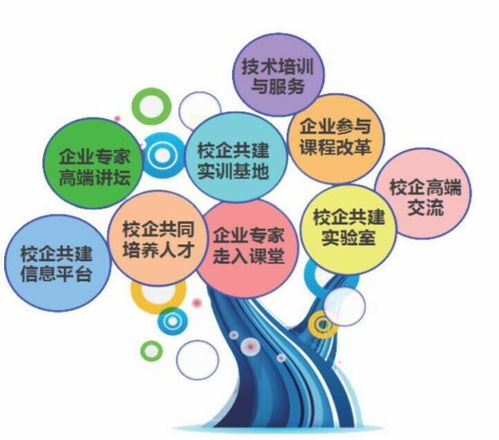 三門峽職業(yè)技術學院 計算機軟件技術開發(fā)專業(yè)的優(yōu)勢與前景
